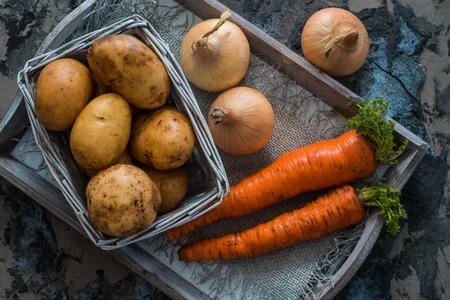 Patate biologiche appena raccolte